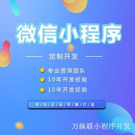 专业的小程序开发(专业的小程序开发外包公司有哪些)