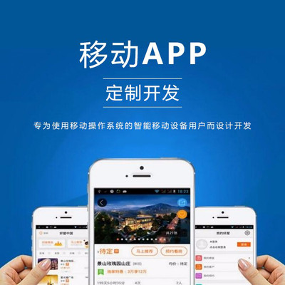 湖北网站建设app(湖北专业模板网站建设公司)