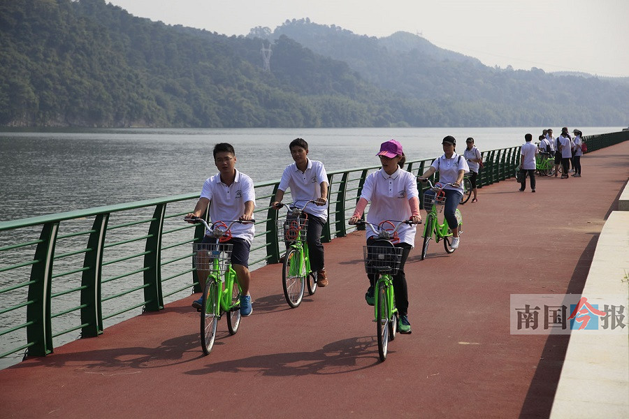 柳州网站建设路(柳州网站建设公司)