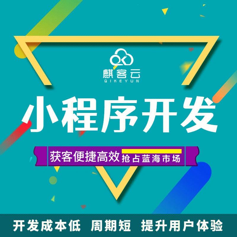 上海小程序网站制作开发(上海小程序网站制作开发公司)