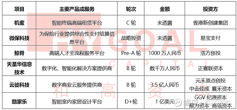 互联网四强最新消息(互联网四强最新消息是什么)