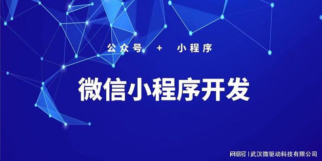 小程序订阅信息开发(微信小程序开发者信息)