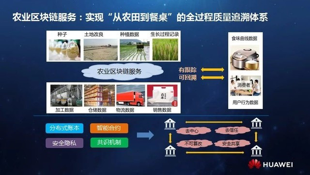 互联网农业最新新闻(互联网农业是什么意思)