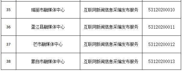 互联网新闻信息服务总负责(互联网新闻信息服务单位内容管理)