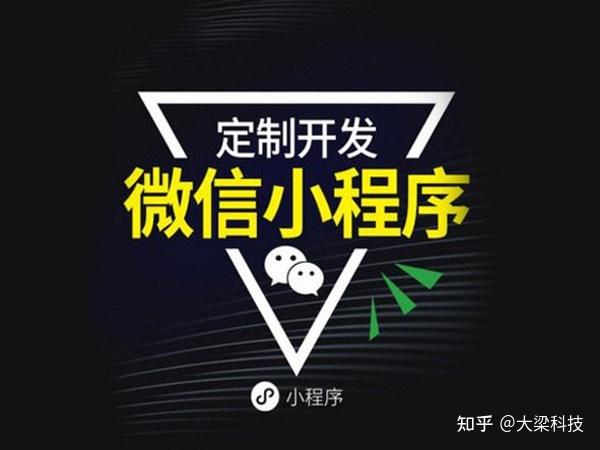 专业小程序开发定制(小程序定制开发公司一般要多少钱)