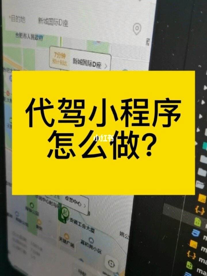 代驾小程序开发说明(代驾小程序开发说明怎么写)