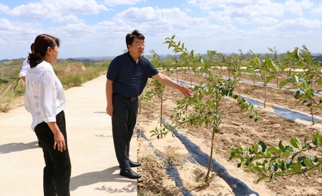 子洲网站建设维护(子洲2021年工程项目)