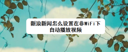 互联网新闻哪个最好做视频(互联网新闻哪个最好做视频素材)