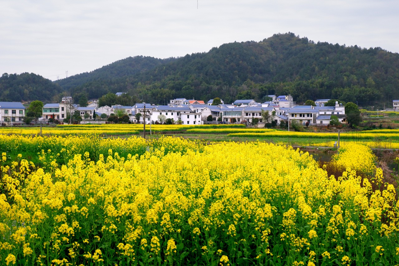 湘潭韶山企业网站建设建设的简单介绍